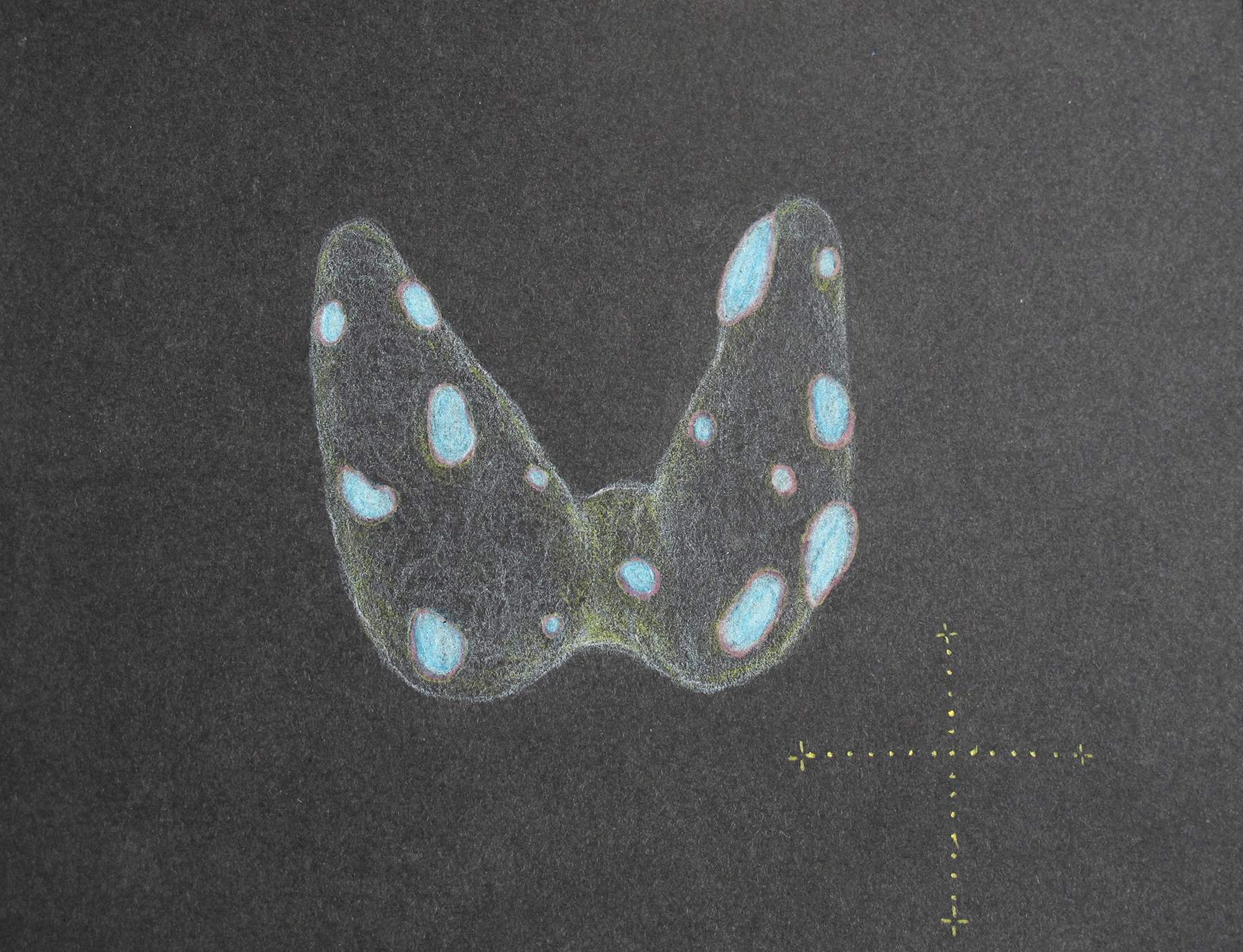 Papillon Malade by Kareen Adam